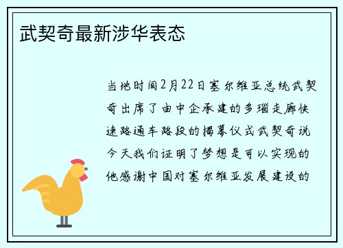 武契奇最新涉华表态
