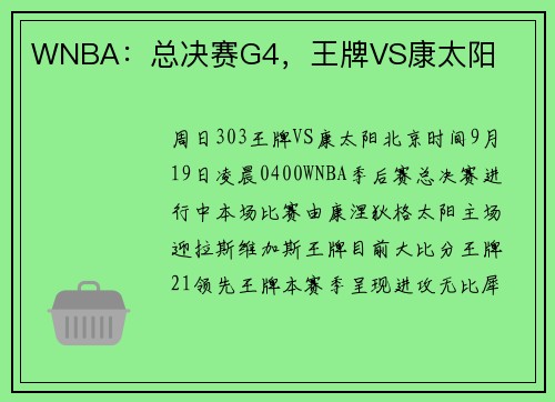 WNBA：总决赛G4，王牌VS康太阳